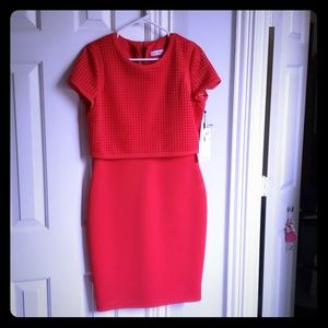 Calvi Klien dress.